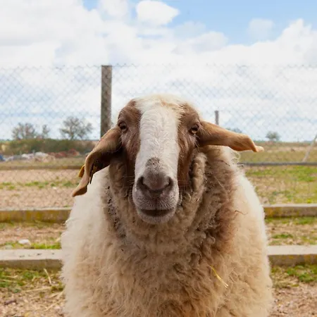 Ibersol La Casona De Andrea Tiedra
