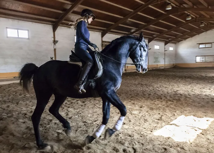 Ibersol La Casona De Andrea 호텔 5*