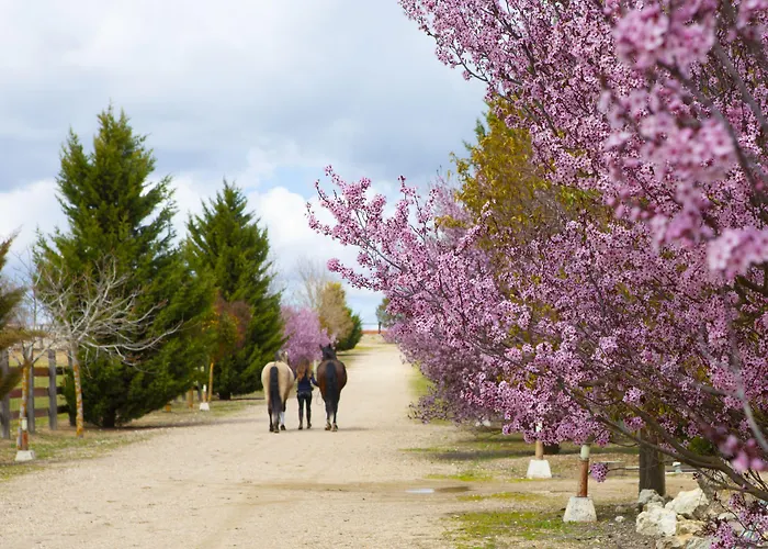 Ibersol La Casona De Andrea 호텔