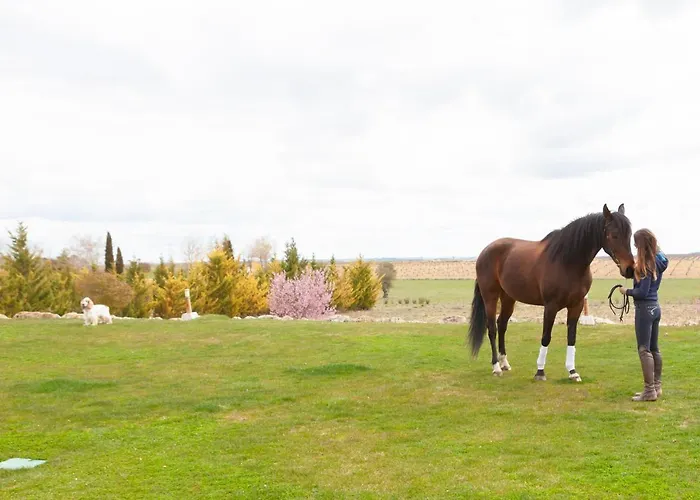Ibersol La Casona De Andrea 5* 티에드라