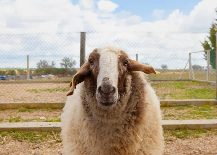 Ibersol La Casona De Andrea 티에드라