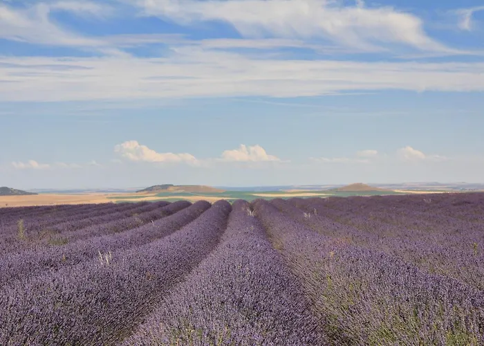 호텔 Ibersol La Casona De Andrea 티에드라