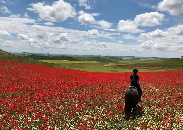 호텔 Ibersol La Casona De Andrea