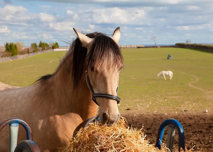 Ibersol La Casona De Andrea 5*